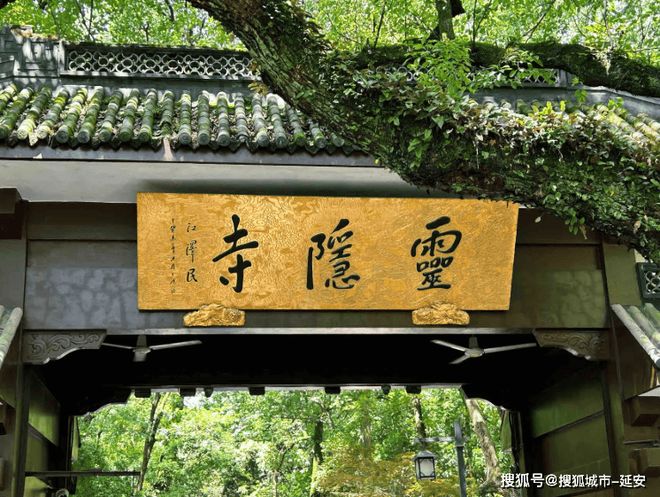 钱当地女全陪导游联系电话号码开元棋牌杭州