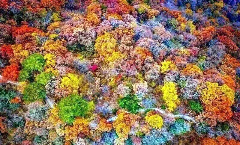 华东最美马丁公路、马鬃岭 走进鹞落坪看层林尽染五彩斑斓开元棋牌试玩【自驾】11月20日-23日 秋意醉人自驾(图2)