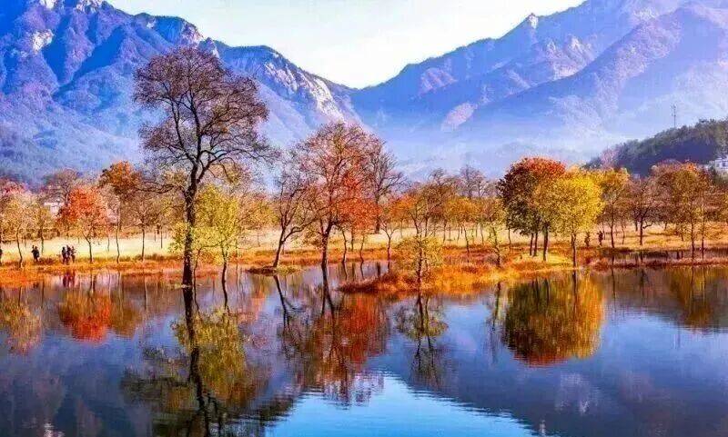 华东最美马丁公路、马鬃岭 走进鹞落坪看层林尽染五彩斑斓开元棋牌试玩【自驾】11月20日-23日 秋意醉人自驾(图4)