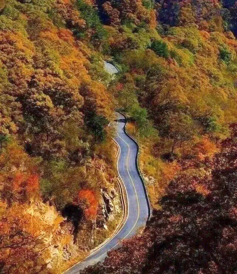 华东最美马丁公路、马鬃岭 走进鹞落坪看层林尽染五彩斑斓开元棋牌试玩【自驾】11月20日-23日 秋意醉人自驾(图3)