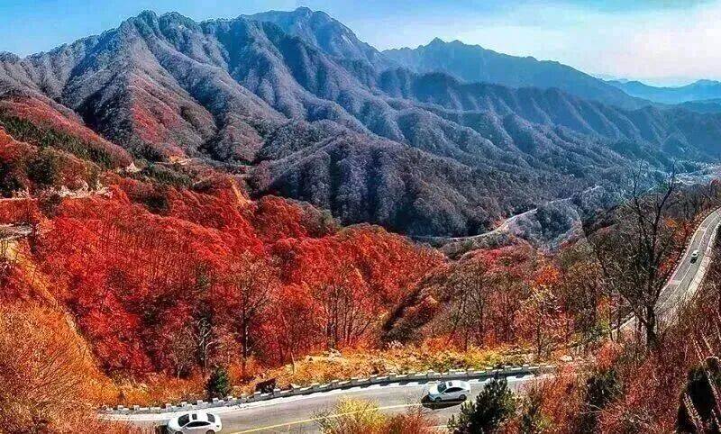 华东最美马丁公路、马鬃岭 走进鹞落坪看层林尽染五彩斑斓开元棋牌试玩【自驾】11月20日-23日 秋意醉人自驾(图5)