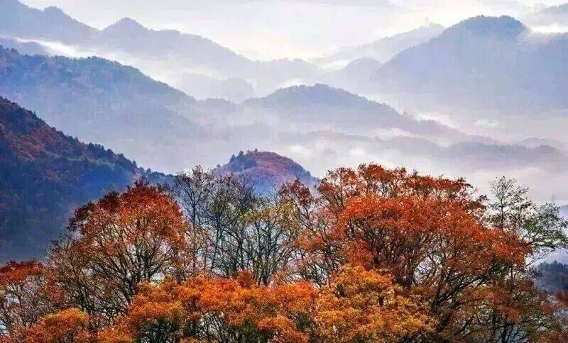 华东最美马丁公路、马鬃岭 走进鹞落坪看层林尽染五彩斑斓开元棋牌试玩【自驾】11月20日-23日 秋意醉人自驾(图7)