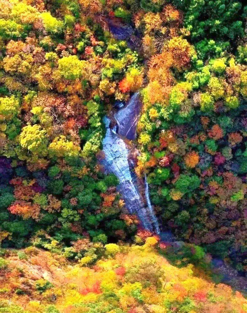 华东最美马丁公路、马鬃岭 走进鹞落坪看层林尽染五彩斑斓开元棋牌试玩【自驾】11月20日-23日 秋意醉人自驾(图8)