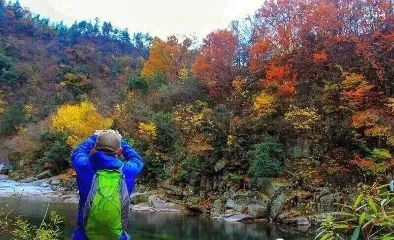 华东最美马丁公路、马鬃岭 走进鹞落坪看层林尽染五彩斑斓开元棋牌试玩【自驾】11月20日-23日 秋意醉人自驾(图9)