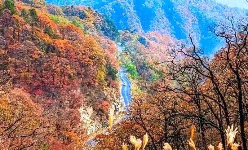 华东最美马丁公路、马鬃岭 走进鹞落坪看层林尽染五彩斑斓开元棋牌试玩【自驾】11月20日-23日 秋意醉人自驾(图10)