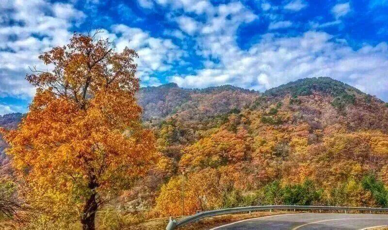 华东最美马丁公路、马鬃岭 走进鹞落坪看层林尽染五彩斑斓开元棋牌试玩【自驾】11月20日-23日 秋意醉人自驾(图11)
