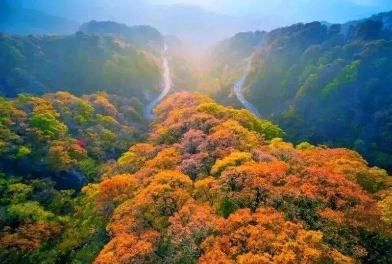 华东最美马丁公路、马鬃岭 走进鹞落坪看层林尽染五彩斑斓开元棋牌试玩【自驾】11月20日-23日 秋意醉人自驾(图12)