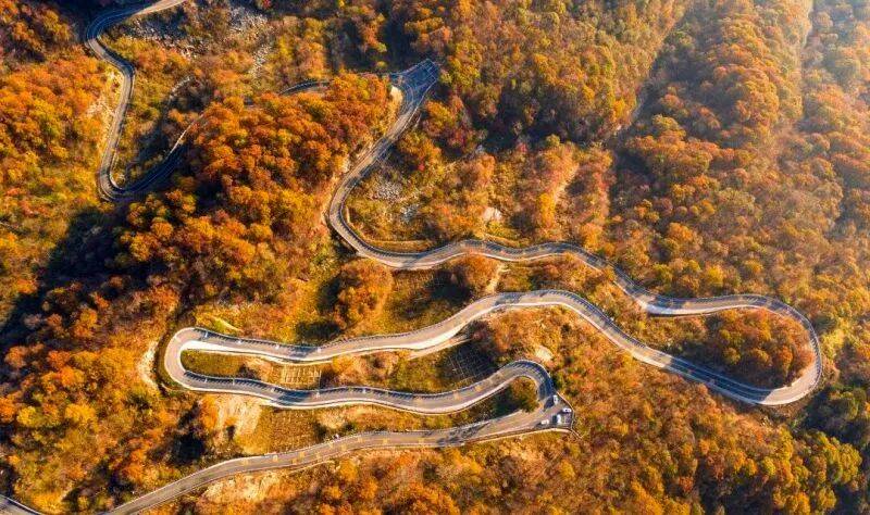 华东最美马丁公路、马鬃岭 走进鹞落坪看层林尽染五彩斑斓开元棋牌试玩【自驾】11月20日-23日 秋意醉人自驾(图13)