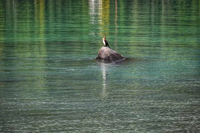 OP5精选榜单深度测评爸妈放心游首选开元棋牌「12月榜单」阿勒泰旅行社T(图2) OP5精选榜单深度测评爸妈放心游首选开元棋牌「12月榜单」阿勒泰旅行社T(图2)